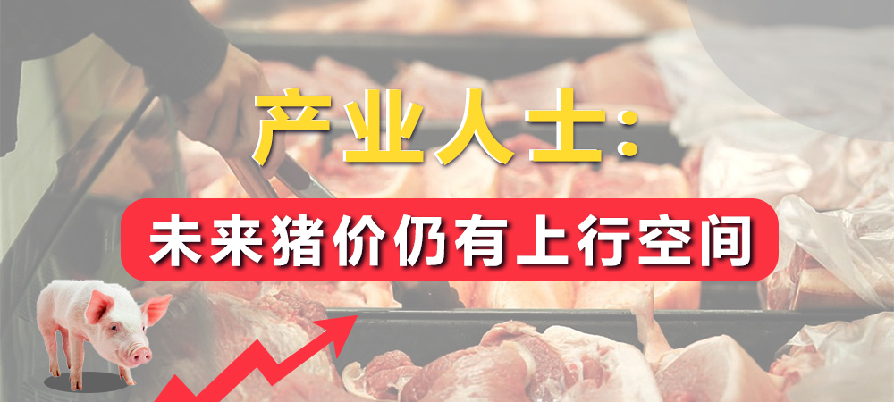 产业人士：未来猪价仍有上行空间，仅凭收储就能扭转猪价过度下跌的势头！