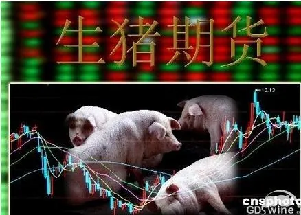 新华社：已跌破养殖成本线！但养猪业为啥对避险工具生猪期货“不感冒”？