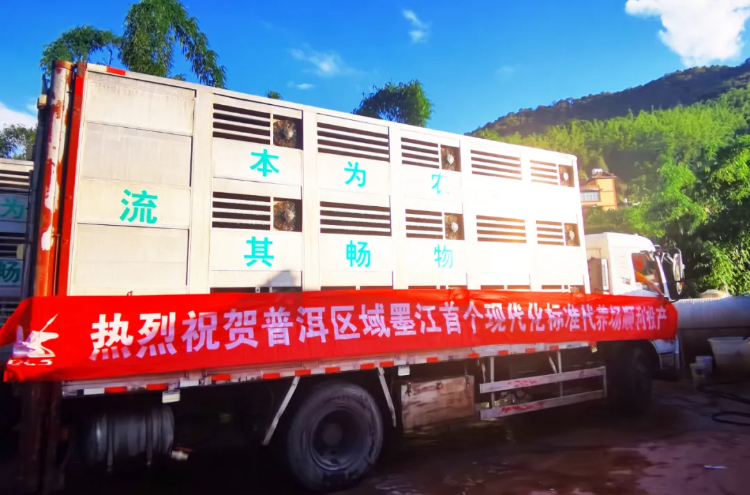 点赞！云南墨江县将出现首个现代化、标准化代养场并且顺利投产！