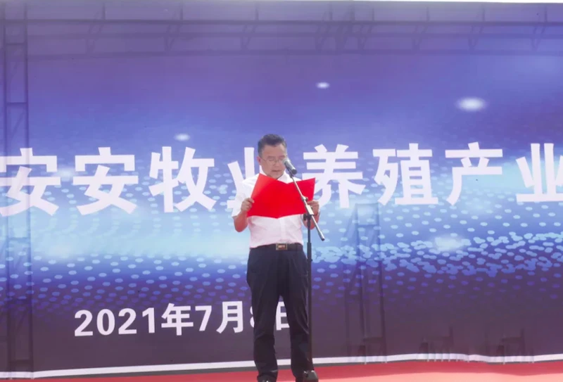 新五丰智能生态农业40万头生猪养殖项目顺利投产！