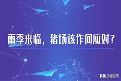 雨季来临，南北地区猪场该作何应对？