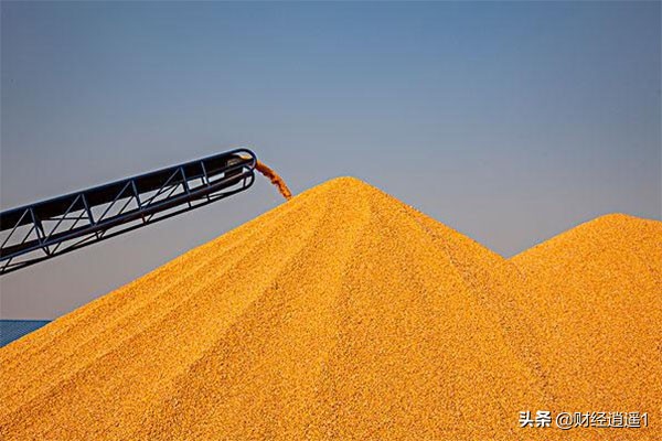 涨势搁浅！2天，玉米价格每吨下跌50元，并跌破2600元/吨，为何？