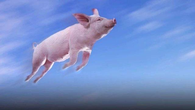2021年07月19日全国各省市外三元生猪价格，全国外三元依旧持续小幅上涨，其中有多地上涨幅度较大