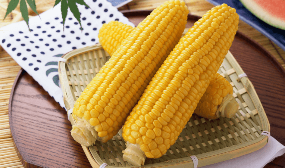 玉米