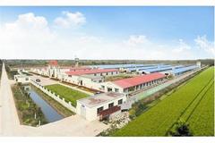 防非有道｜德康全员面对防非守住德康生猪事业