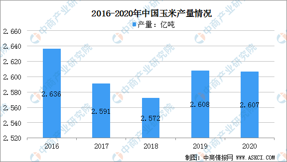 上半年玉米价格走高 2021年中国玉米市场供需形势预测分析