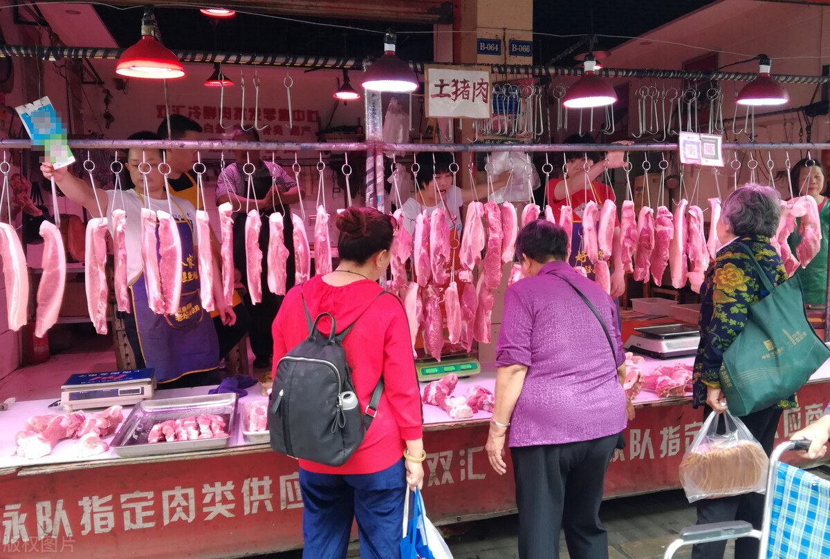 “贪”念不改，猪价难涨