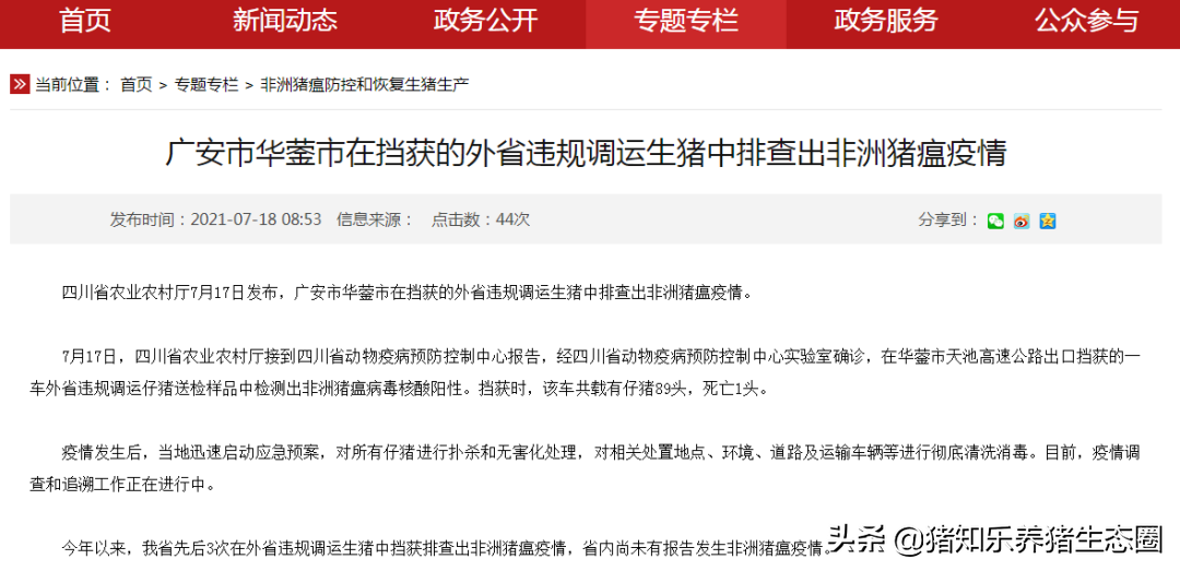 河南大雨造成部分养猪场受损，国内非瘟再现，养猪业如何防灾防疫