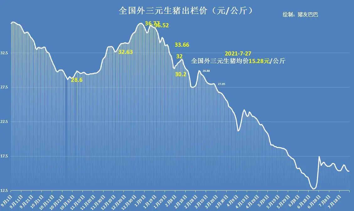 猪价骑虎难下，大佬5元预言成真？4季度还涨吗？专家：仍有利润