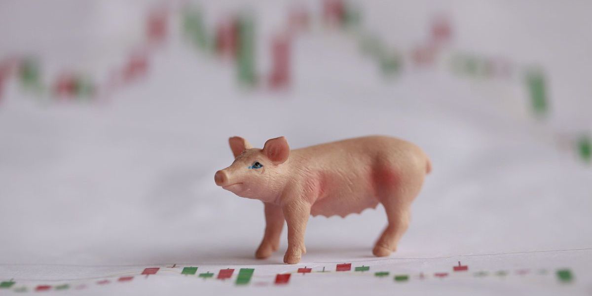 猪市：“一级预警”调整“二级预警”，市场释放出的信号分析