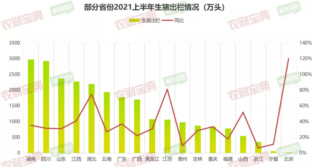 29省晒上半年生猪成绩：川云皖赣闽等八省存栏超非瘟前，黑龙江母猪数量创十年之最