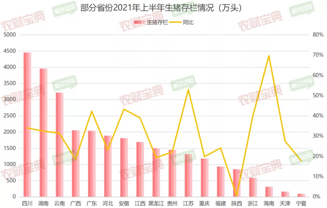 29省晒上半年生猪成绩：川云皖赣闽等八省存栏超非瘟前，黑龙江母猪数量创十年之最