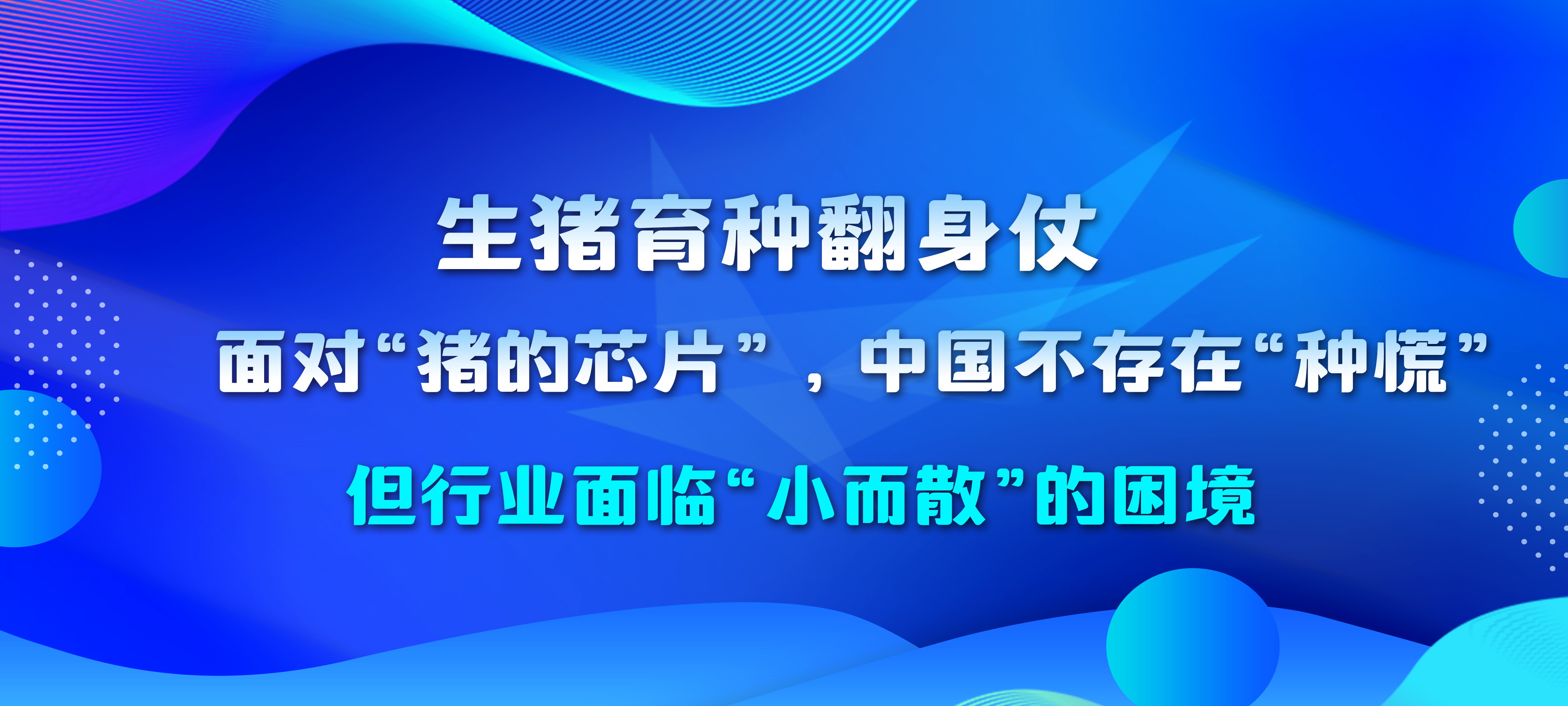 生猪育种翻身仗：面对“猪的芯片”，中国不存在“种慌”，但行业面临“小而散”的困境