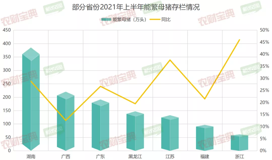 29省晒上半年生猪成绩：川云皖赣闽等八省存栏超非瘟前，黑龙江母猪数量创十年之最