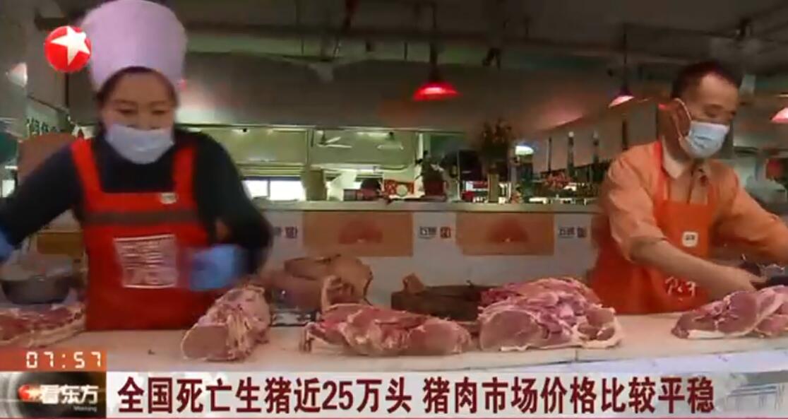 注意：全国死亡生猪近25万头，猪肉市场价格比较平稳！