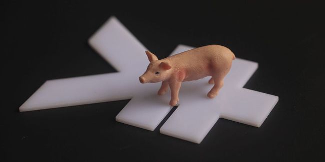 大猪基本消耗，标猪比例逐渐增多，8月生猪价格有望上涨