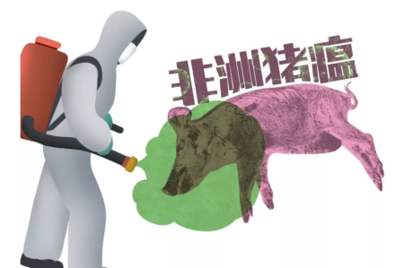 非洲猪瘟的防控：猪场环境、物资、人员等非猪只的科学采样