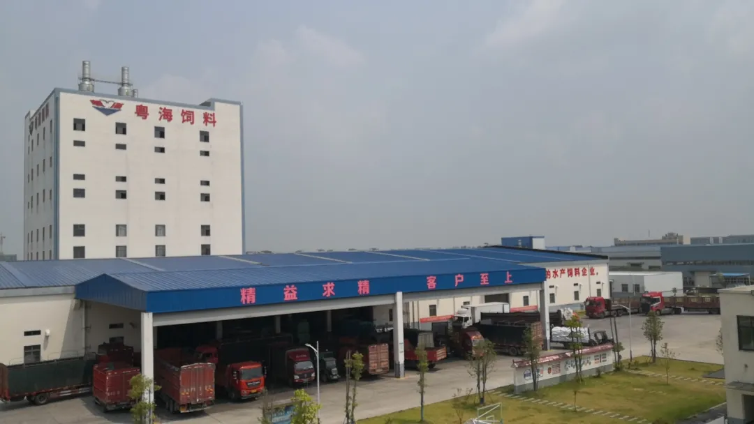 饲料运输受阻