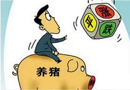 涨停！猪肉股和猪价齐开花！早准备！上行周期来了！