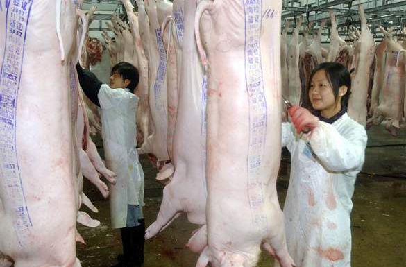 生猪屠宰新“条例”8月1日实施，个人屠宰生猪是否违法？