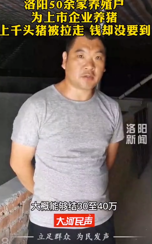 农民贷款养猪！上千头猪被拉走后，500强上市公司却赖账不给钱？