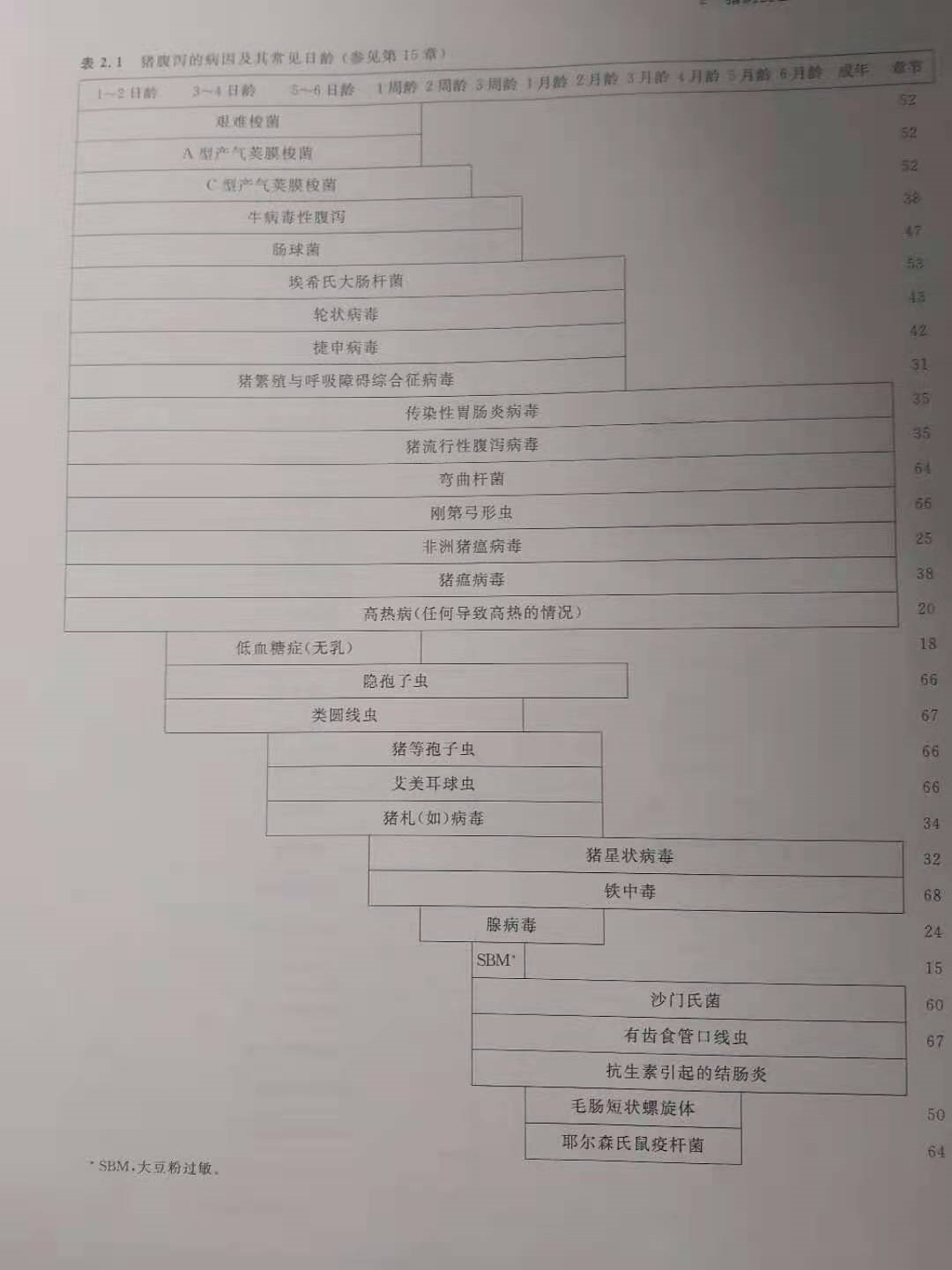 “四步走”提高哺乳仔猪成活率，附详细解决方案