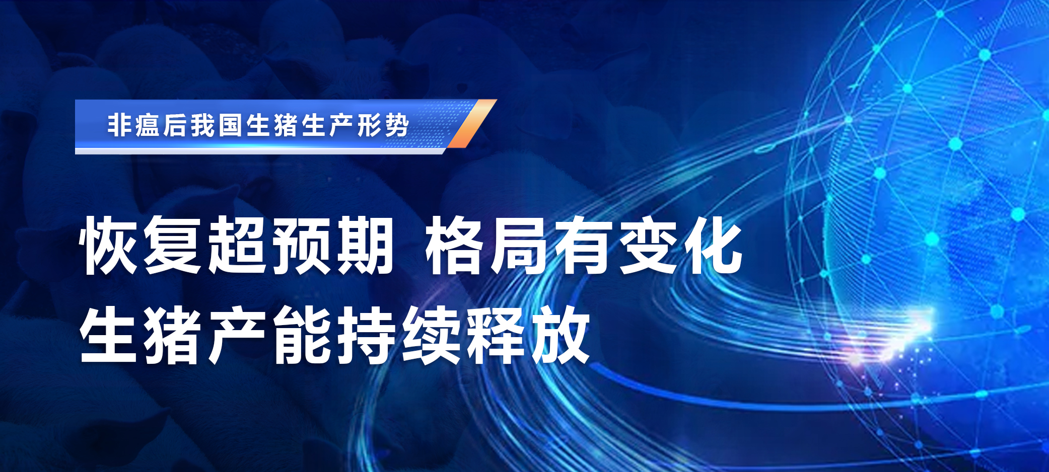 非瘟后我国生猪生产形势：恢复超预期，格局有变化，生猪产能持续释放