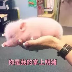 扬翔股份