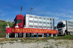 祝贺京基智农顺利从永诚集团引种杜洛克公猪110头！