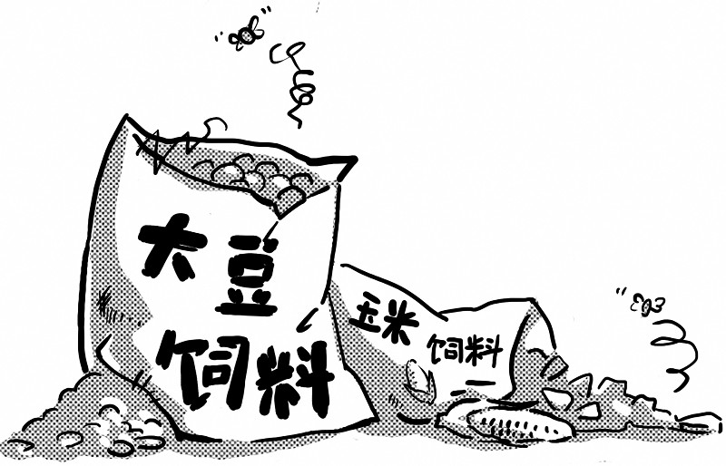 梅雨季节，饲料中霉菌毒素高发！谨防饲料霉变！