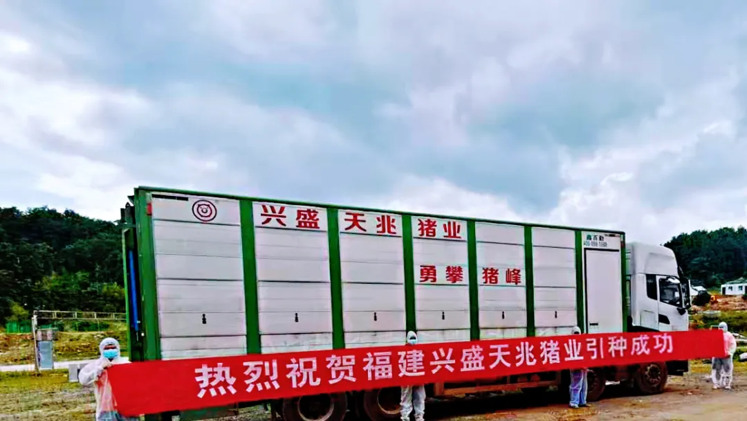 好消息！天兆猪业第三个楼房猪场项目顺利引种