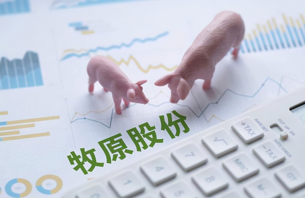 行业步入周期低谷之时，牧原股份为何要逆势扩张产能？