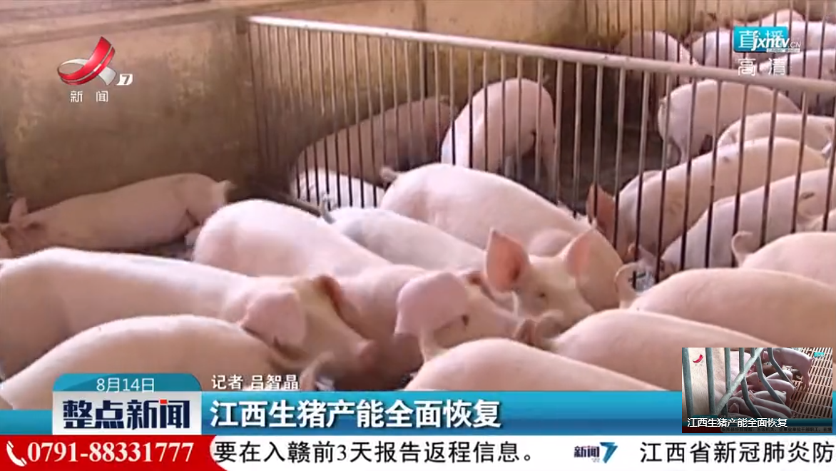受政策利好因素影响，江西省生猪稳产保供成效显著生猪生产逐渐恢复