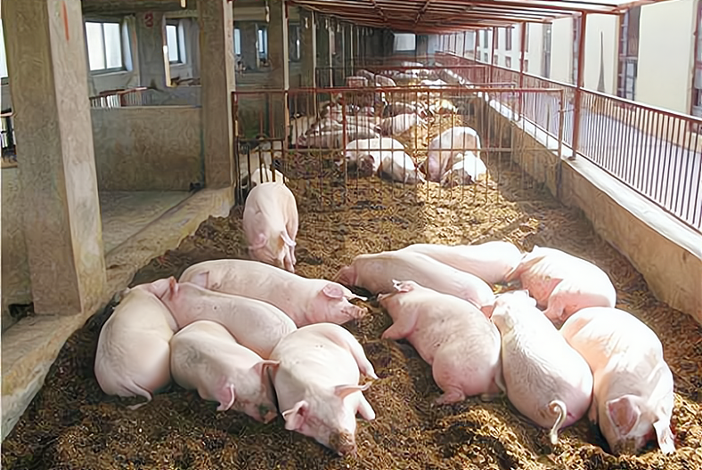 猪肉、鱼肉跌幅明显，牛羊肉小幅变化，鸡蛋止涨转跌，市场咋回事