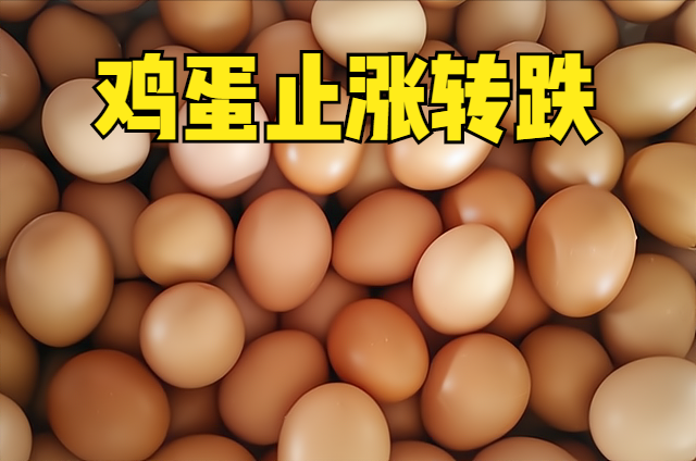 猪肉、鱼肉跌幅明显，牛羊肉小幅变化，鸡蛋止涨转跌，市场咋回事