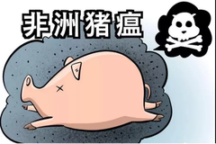 注意！如今雨季来袭，猪场既要做好防洪更要做好防非！