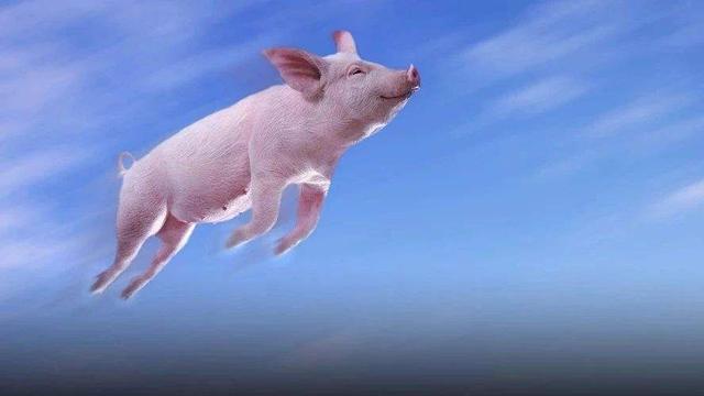上半年湘潭市生猪产能持续恢复，生猪存栏逐月提升，生猪出栏波动增加