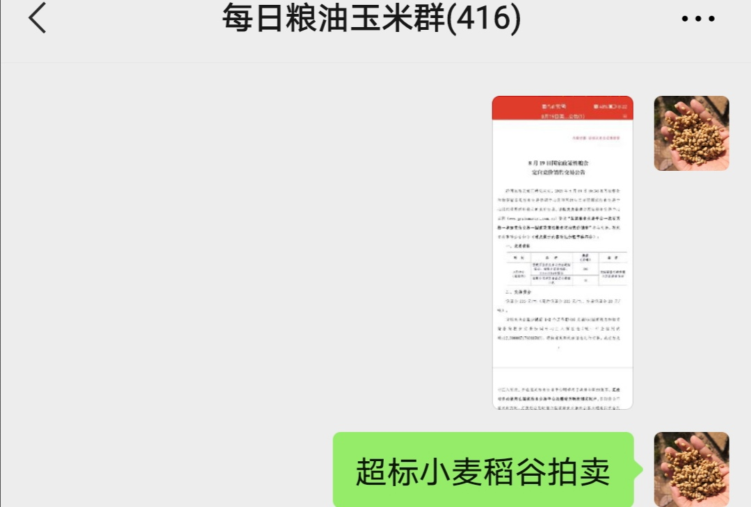 玉米价格再次上涨主管部门调控再加码：250万吨超标粮或开始拍卖