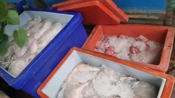 柬埔寨《华商日报》：柬埔寨两省警方查获从泰国走私进口的1980公斤黑心猪肉