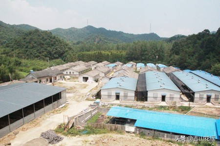 非洲猪瘟常态化防控时期猪场复养的关键措施，从这几个地方入手