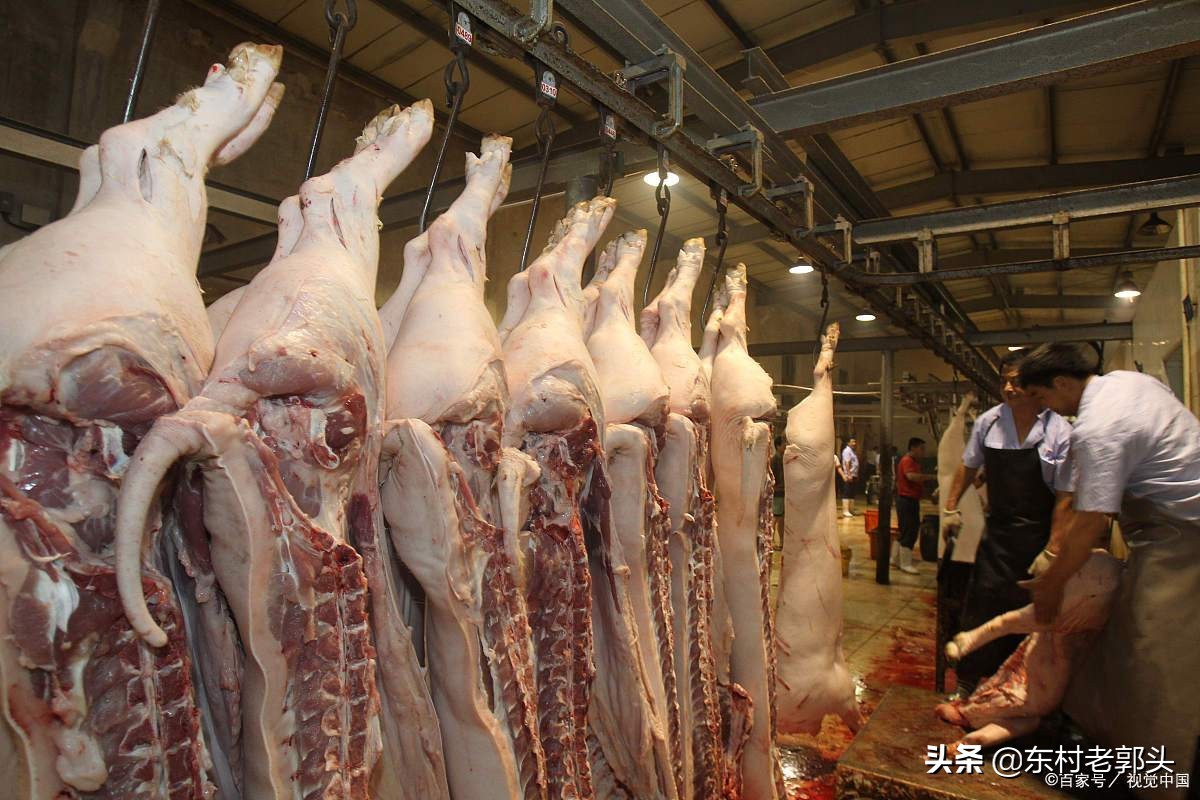 生猪价格震荡频繁，持续在7元区间徘徊，市场消化不积极所导致？