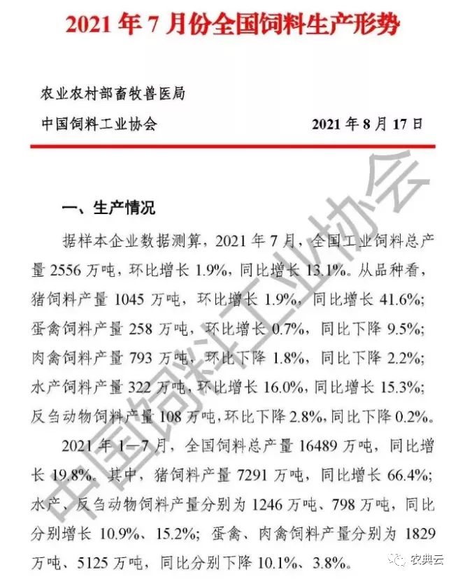 饲料