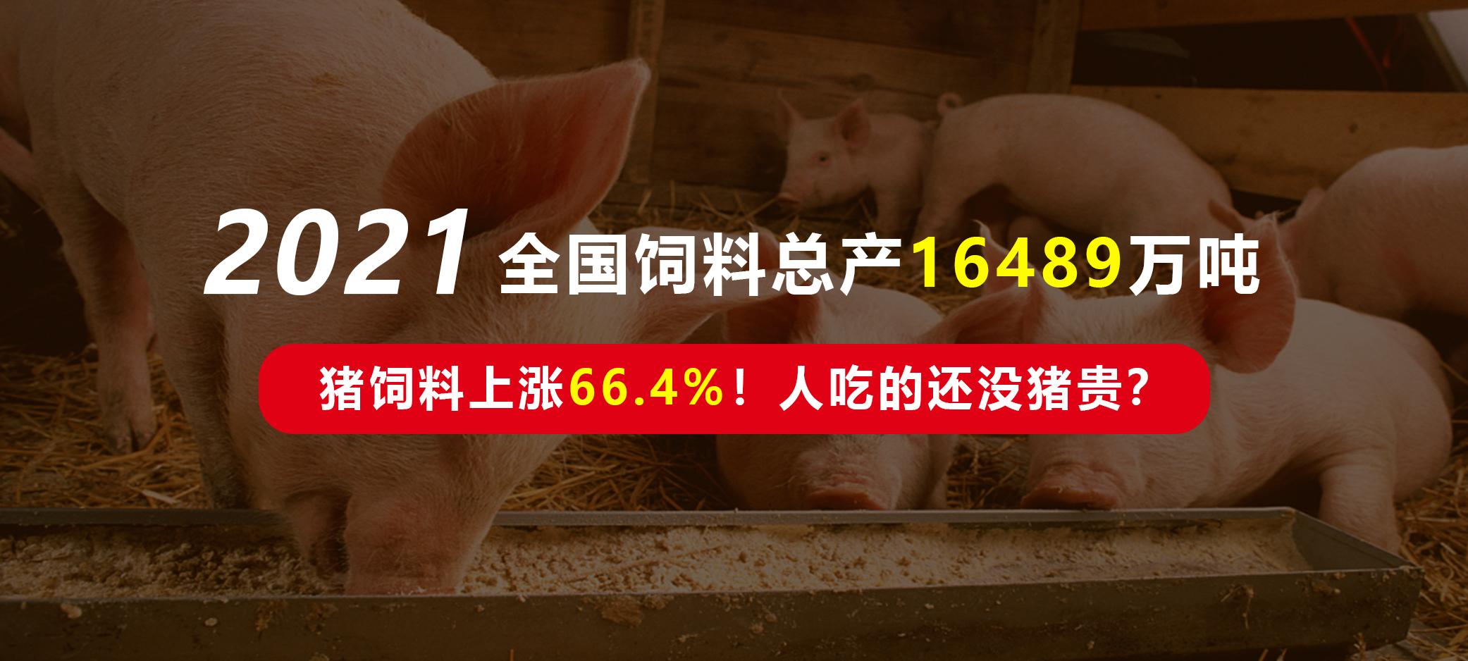 2021年全国饲料总产16489万吨！猪饲料上涨66.4%！人吃的还没猪贵？