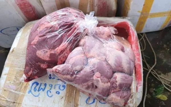 柬埔寨查获近 2000 公斤泰国走私黑心猪肉
