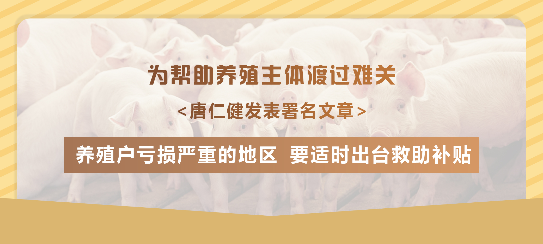 为帮助养殖主体渡过难关！唐仁健发表署名文章：养殖户亏损严重的地区要适时出台救助补贴！