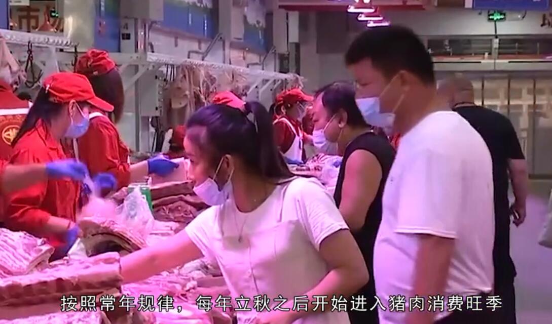  一头肥猪出栏亏43元，单价从36元降至16元，7月份近半养猪场亏损