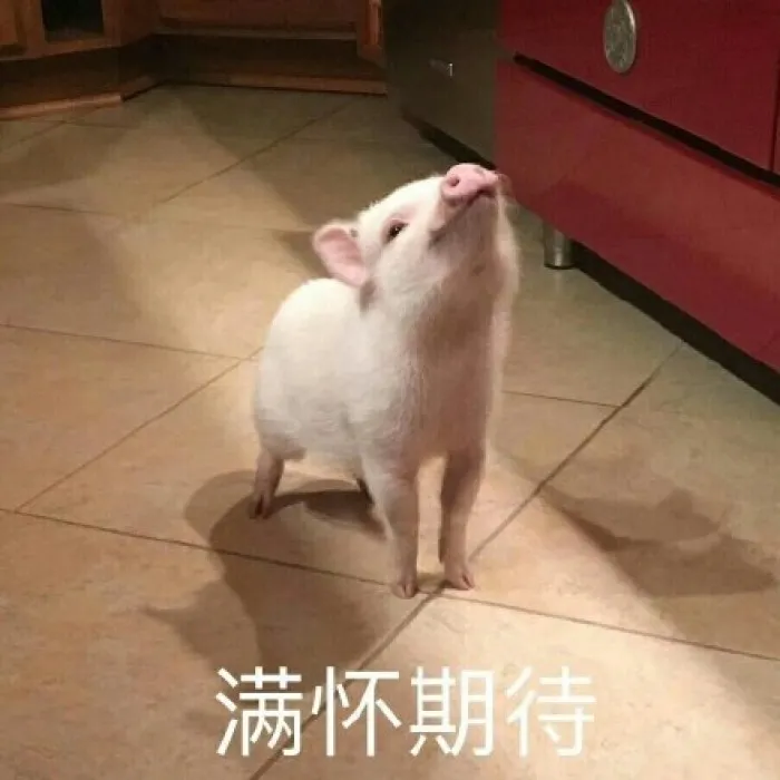 大转折！官方回应啦！养猪人苦苦期盼，这一天终于来了！