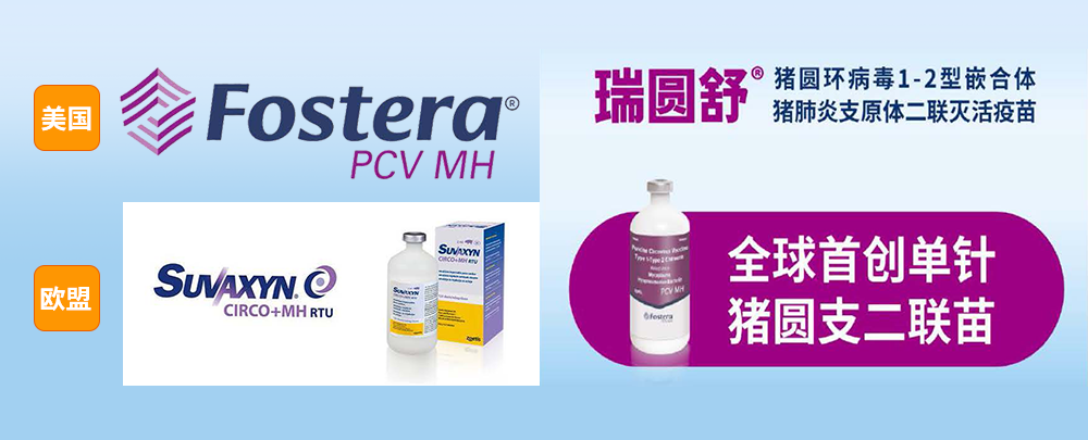 一针双防，全球首创！关于瑞圆舒®—你想知道的所有知识点都在这了