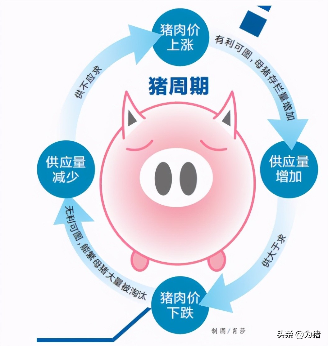 消费旺季临近，生猪等待消费提振，猪价有望回到16—20元/公斤？