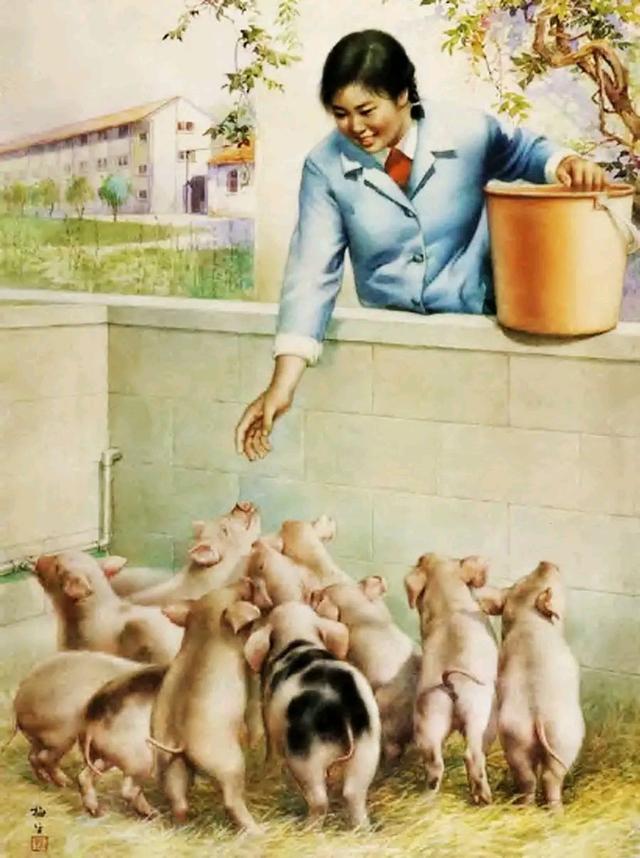 农民不能在家养猪养鸡，想吃自己养的猪肉，已经成为了一种奢望！
